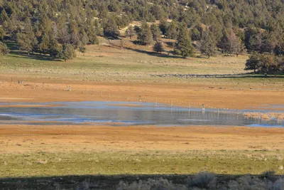 DSC_3047 (Large).JPG